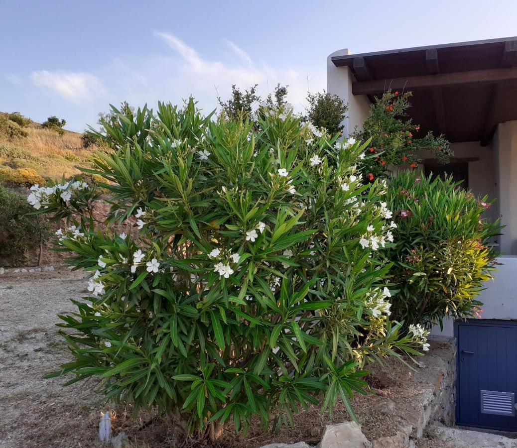Katoikia Spathi Spathi  Exterior photo